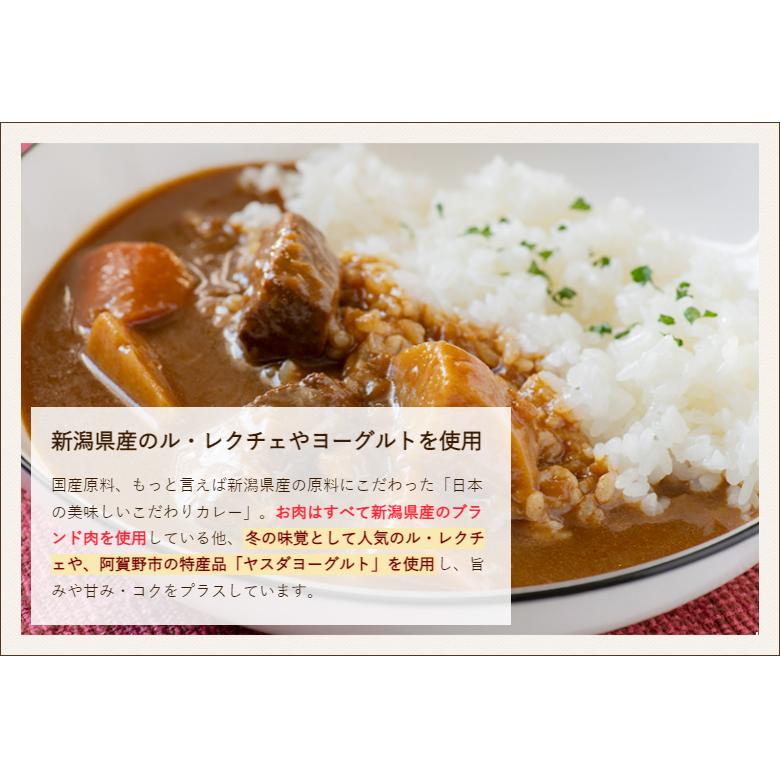 日本のこだわりおいしいカレー チキン 30個入り 惣菜 和縁 後払い決済不可 送料無料