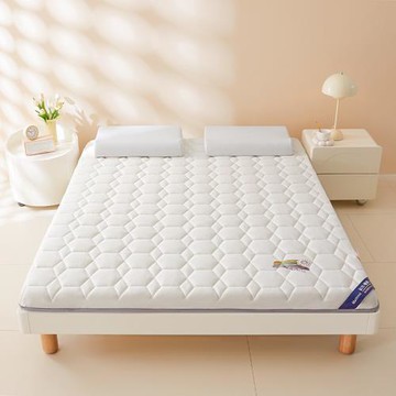 床墊出租房屋記憶棉學生宿舍墊子褥子榻榻米海綿加厚升級加厚