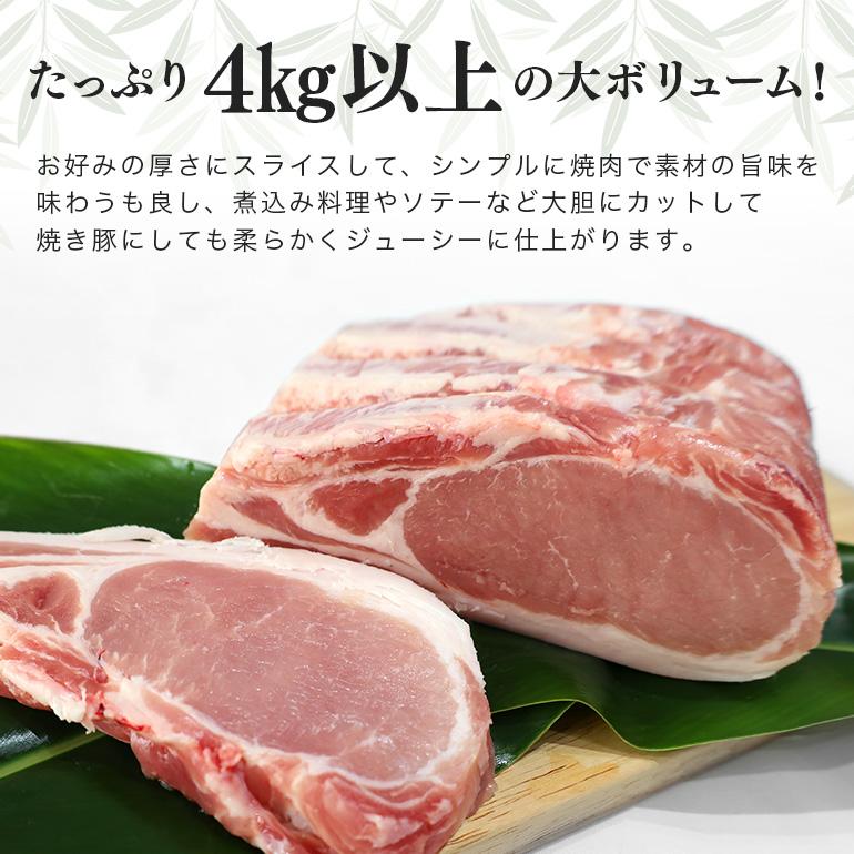 ブランド豚「ばんぶぅ」ロースブロック1本 茨城県産 真空パック 冷蔵