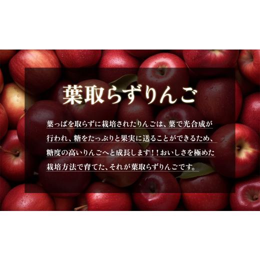 ふるさと納税 秋田県 鹿角市 《極》葉取らずりんご！ シナノゴールド 5kg（14〜20玉）　葉とらず はとらず 林檎 リンゴ りんご 完熟 極 甘い フレッ…