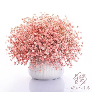 滿天星干花裝飾擺件網紅大花束臥室客廳裝飾擺放【櫻田川島】