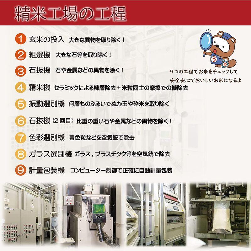 無洗米 令和4年産 岡山県産 コシヒカリ 15? (5?×3袋) 無＿岡山こしひかり＿１５ｋｇ