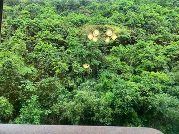 靜園臻美大四房+平面車位｜基隆市安樂區樂利二街