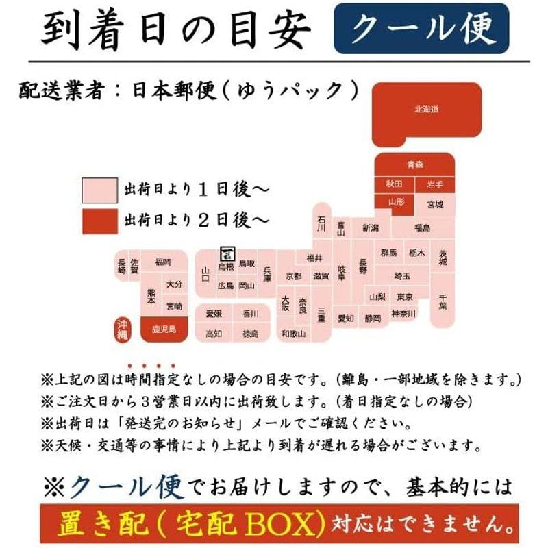 出雲そば 奥出雲本生そば10人前 詰合せギフト そばギフト つゆ付き お取り寄せ グルメ