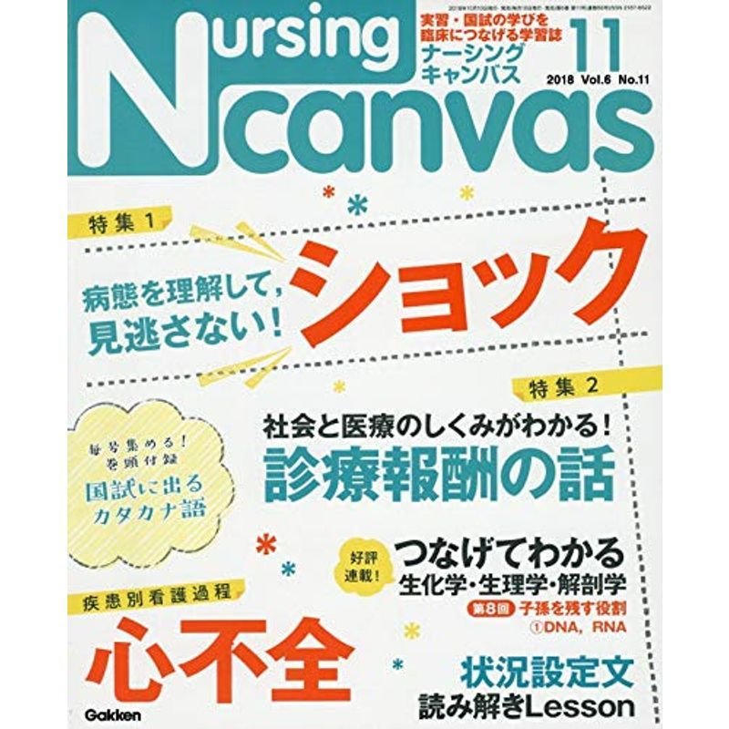 NursingCanvas 2018年 11月号 Vol.6 No.11 (ナーシング・キャンバス)