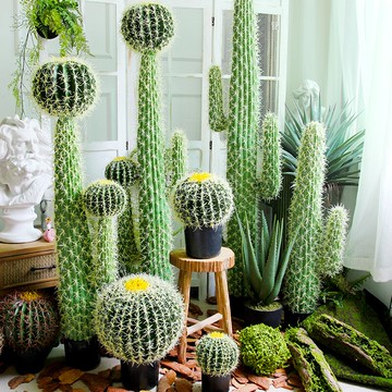 黃刺仙人掌大型植物仿真假仙人球仙人柱擺件網咖賣場櫥窗造景布置