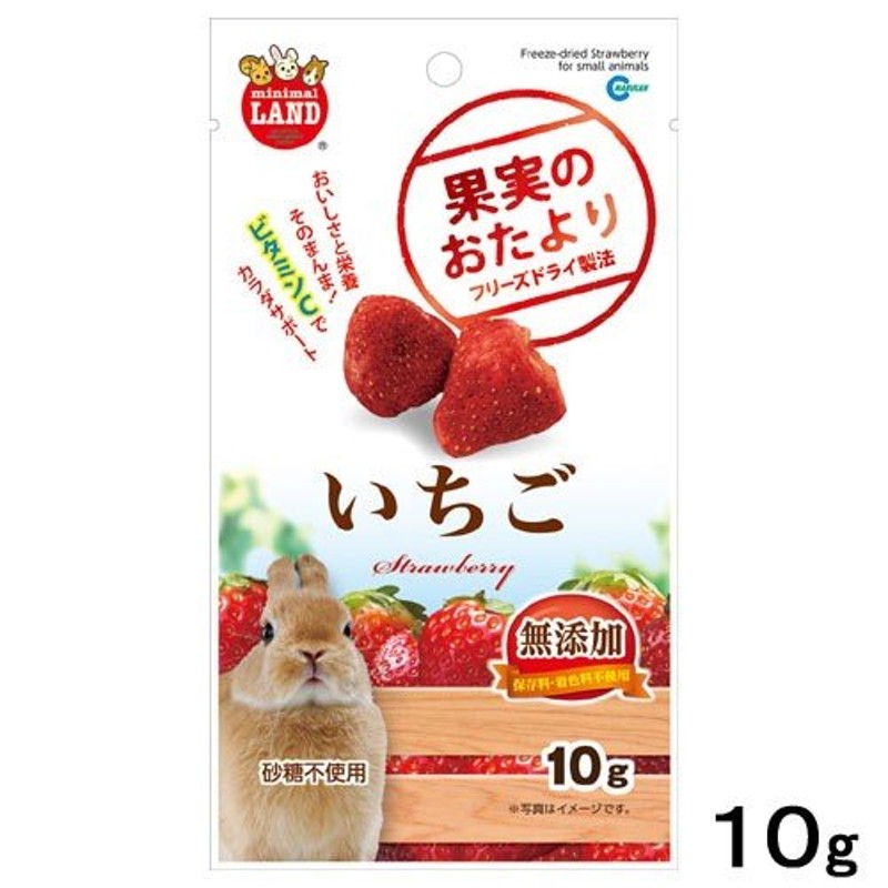 無添加　いちご　LINEショッピング　おやつ　小動物　１０ｇ　果実のおたより　マルカン　うさぎ