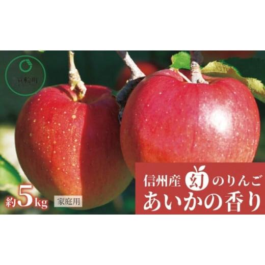 ふるさと納税 長野県 箕輪町 〈家庭用〉あいかの香り 約5kg りんご リンゴ 林檎 長野 フルーツ 果物 信州産 長野県産 特産 産地直送 希少 おすすめ　[No.5675-…