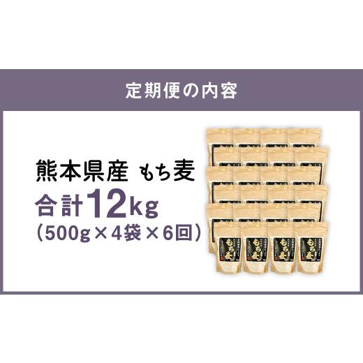 ふるさと納税 熊本県 人吉市  熊本県産 もち麦 合計12kg