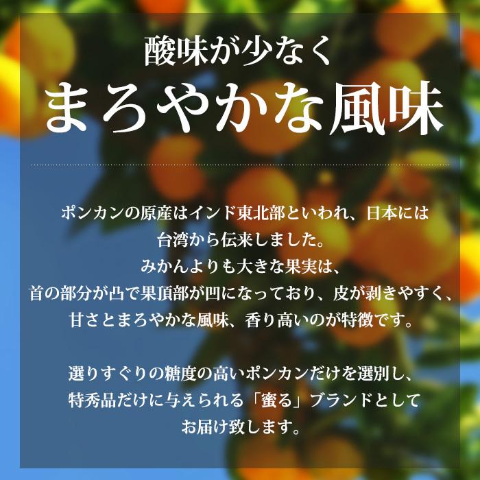 みかん 愛媛県産 ポンカン 蜜る 特秀品 約5kg 2L〜3Lサイズ 22〜28個