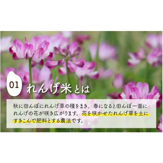 ふるさと納税 福井県 永平寺町 令和5年産 新米 農薬不使用・化学肥料不使用 永平寺町産 れんげ米 5kg×3ヶ月（計15kg） [D-002029]