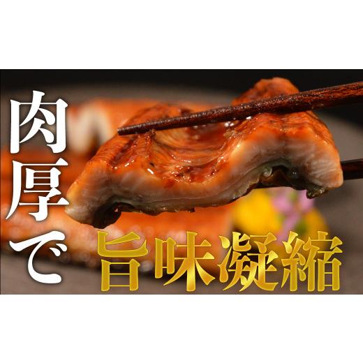 ふるさと納税 熊本県 水上村 特上うなぎ 約600g (約200g×3尾) タレ付き うなぎ 蒲焼 熊本県 水上村