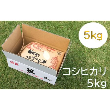 ふるさと納税 南房総市産コシヒカリ5kg mi0018-0012 千葉県南房総市