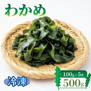 ふるさと納税 塩蔵わかめ 500g 冷凍 塩蔵ワカメ 小分け 海藻 冷凍わかめ 三陸わかめ 塩蔵ワカメ 小分けワカメ 岩手県大船渡市