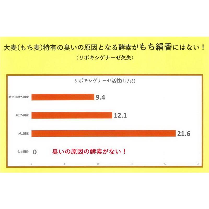 栃木県産もち麦 もち絹香 500ｇ 食物繊維たっぷり冷めても美味しい国産100%のもち麦!炊飯後に変色しにくく、大麦特有の臭い控えめ、もち麦の欠点を大きく改善