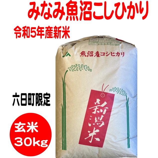 玄米30kg　送料無料　令和5年産新米　みなみ魚沼こしひかり