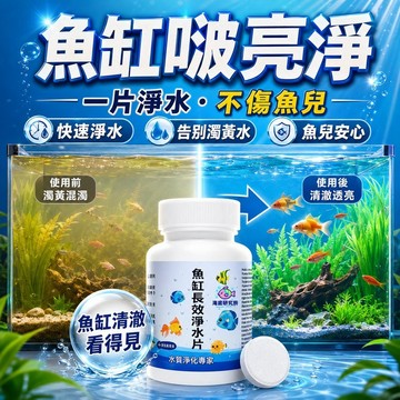 魚缸淨水片 清水養魚淨水劑 長效淨水片 清澈淨化水質 除臭 去腥 除氯 養魚神器 免換水 水族用品 魚缸高級淨水片