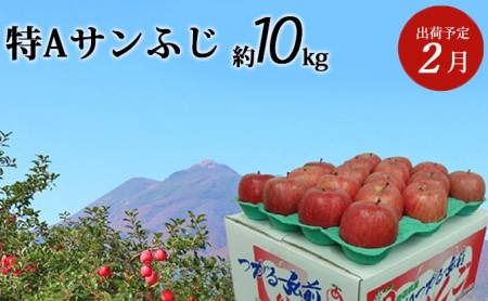 2月発送 特A サンふじ 約10kg 