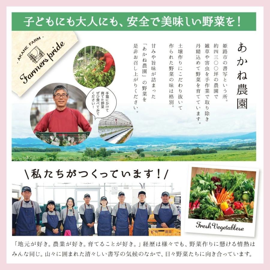 兵庫県産ドライいちじく 80g  無添加 砂糖不使用 産地直送