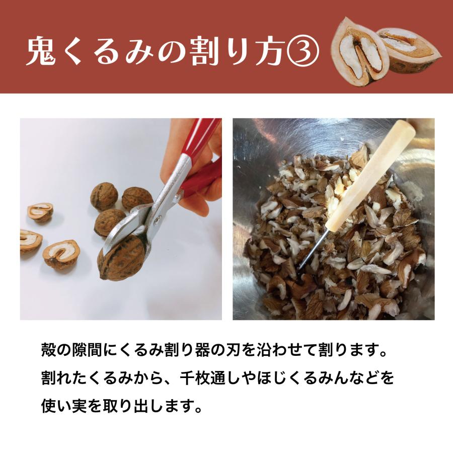 くるみ 1kg 国産 殻付き 令和5年産 山形県産 鬼くるみ オニグルミ 和くるみ 送料無料（一部地域を除く）