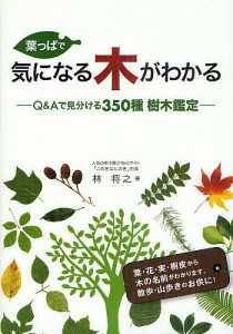 葉っぱで気になる木がわかる Q Aで見分ける350種樹木鑑定 林将之