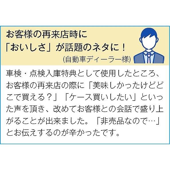 ノベルティ 記念品　石鍋シェフデリシャスカレー2食組