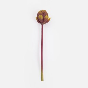 查莉擬真花插無葉帝王花苞39.5cm 綠粉