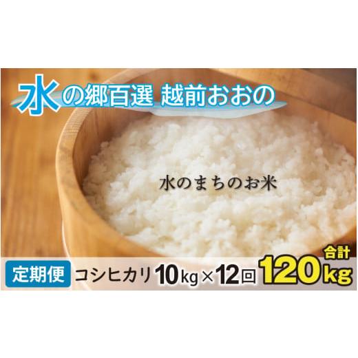 ふるさと納税 福井県 大野市 こしひかり 10kg×12回 計120kg「エコファーマー米」水のまちのお米