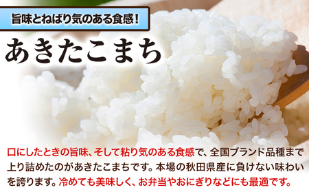 令和5年産 新米 青空市きらりの お米 10kg 岡山県産 あきたこまち×あきたこまち 青空市きらり《30日以内に発送予定(土日祝除く)》岡山県 矢掛町 白米 精米 米 コメ