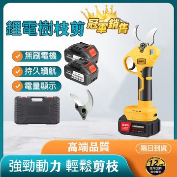 🔥附雙電池🔥隔日到貨🔥樹枝剪 修枝剪 園藝剪 省力剪 園藝剪 無刷電動剪刀 充電式剪刀 電動修枝剪 高枝修枝剪刀