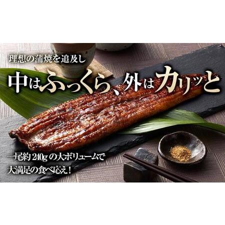 ふるさと納税 うなぎ蒲焼き2尾入り 480g（蒲焼たれ4袋 山椒付き） 和歌山県和歌山市