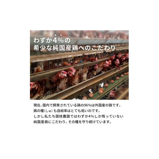 ふるさと納税 岐阜県 池田町 卵 わずか4%の希少な純国産鶏 いけだの森たまご 60個 こだわり おこめのたまご 玉子 鶏卵 生卵 産地直送 冷蔵配…