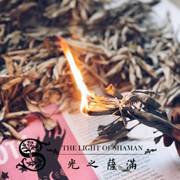 [光之薩滿] 北美淨化聖品 50g/100g美國進口 白鼠尾草 or 白色鼠尾草散裝  銷量最多 香草專賣 平台銷量No.1淨化 避邪