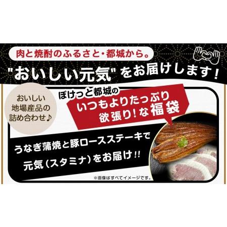 ふるさと納税 職人手焼きうなぎ蒲焼き2尾＆豚ロースステーキ6枚_AC-3305_(都城市) 豚肉 鰻 国産 うなぎの蒲焼 2尾 タレ付き.. 宮崎県都城市