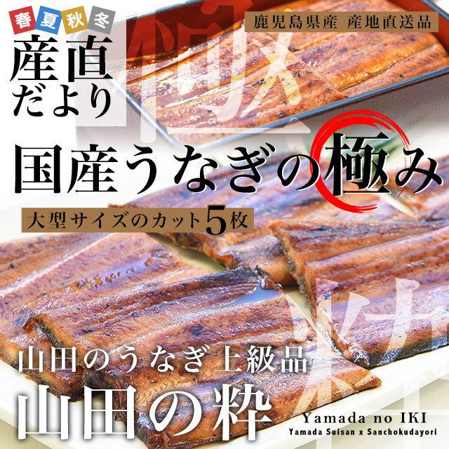 鹿児島県産　山田水産の極上国産うなぎ蒲焼「山田の粋（やまだのいき）」（大型サイズのカット真空80g×5枚）　送料無料　鰻蒲焼　ウナギ