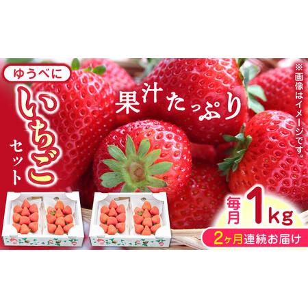 ふるさと納税 ゆうべに いちご セット 250g×4P 農園直送 産地直送 熊本県産いちご 山都町産いちご 完熟いちご .. 熊本県山都町