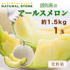 [最短順次発送] メロン アールスメロン 約1.5kg 1玉 大玉 メロン専用箱 愛知 マスクメロン ツル付き ツル 愛知県 ギフト 贈答用 美味しい