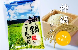 神鍋　こしひかり　5kg　兵庫県但馬産（神鍋）　取り寄せ商品です　お米　白米