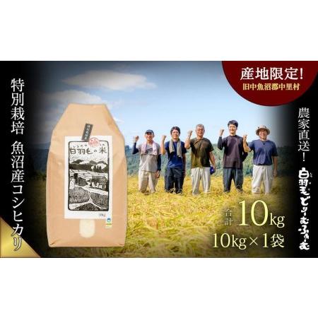 ふるさと納税 ≪令和5年産≫　農家直送！魚沼産コシヒカリ特別栽培「白羽毛の米」精米10kg 新潟県十日町市