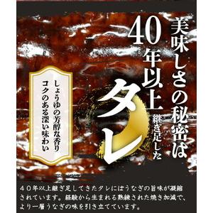 ふるさと納税 G6157_大型サイズ ふっくら柔らか 国産うなぎ 蒲焼き 3尾 (約6人前) 化粧箱入 和歌山県湯浅町