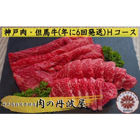 ふるさと納税 神戸肉・但馬牛（年に6回発送）Ｈコース 兵庫県丹波市