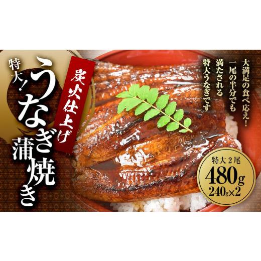 ふるさと納税 和歌山県 和歌山市 うなぎ蒲焼き2尾入り 480g（蒲焼たれ4袋 山椒付き）