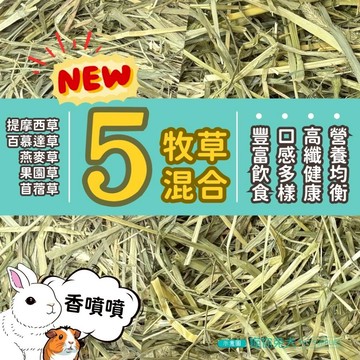 【過篩－混草】貓你兔犬 提摩西 牧草 兔子草 提摩西一割 提摩西二割 提摩西三割 提摩西草 果園草 百慕達草 苜蓿草