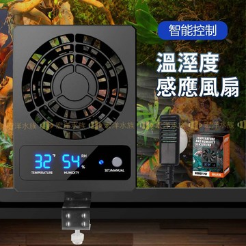 宏洋水族【溫溼度感應風扇🦎】排風扇 爬寵風扇 爬寵散熱 爬寵箱 雨林缸 濕度控制 感應智能風扇 生態缸排扇