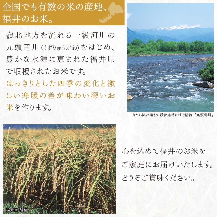 無洗米 20kg 米 コシヒカリ 福井県産 お米 送料無料 白米 精米 おこめ 20キロ こめ20kg 米20キロ お米20キロ 宅配 送料無 安い 格安 令和5年産 新米 単一原料米