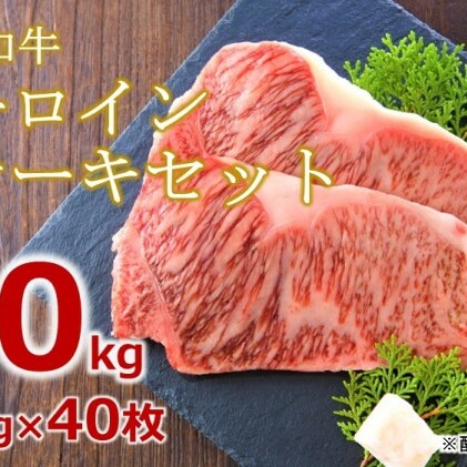 牛肉 サーロインステーキ 合計10kg 博多和牛 A4～A5 セット 250g×40枚 配送不可：離島