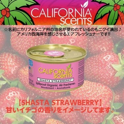 カリフォルニアセンツ エアフレッシュナー お得な 10個セット