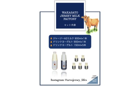 ジャージーA2 ミルク［900ml×1］・ドリンクヨーグルト［900ml×1・150ml×5］　飲料 ドリンク ドリンクヨーグルト ミルク