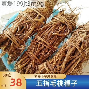 現貨🌿[五指毛桃種子🌿]（250粒）新種 四季種植  土黃芪 五爪龍種籽 中草藥種子 四季田園盆栽種植草藥種子 多年生