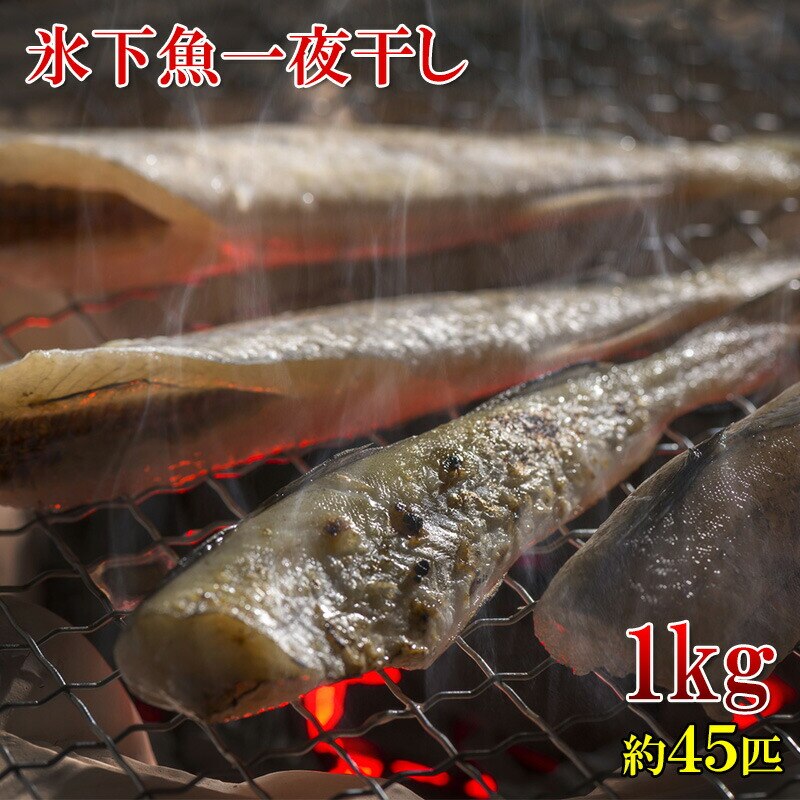 コマイ 北海道産 こまい 一夜干し 干物 1kg 45匹前後 氷下魚 カンカイ 業務用サイズ お徳用